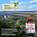 fito-medic-s-lab-choline-supplements-cho-6.jpg