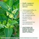 megafood-adrenal-strength-adrenal-suppor-5.jpg