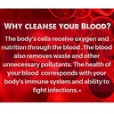 speedyvite-tea-total-detox-cleanse-combo-5.jpg