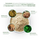 red-s-kitchen-sink-cell-fuel-102-organic-4.jpg