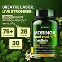 moringa-capsules-beet-root-mullein-leaf--3.jpg