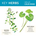 himalaya-hello-calm-mind-herbal-suppleme-4.jpg