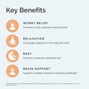 brainmd-dr-amen-calm-my-brain-90-vegan-c-4.jpg