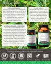 herbalogic-quiet-mind-herb-capsules-non--4.jpg