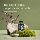 gaia-herbs-steady-mind-supplement-suppor-2.jpg