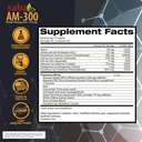 saba-am-300-fat-burner-90-caplets-2.jpg