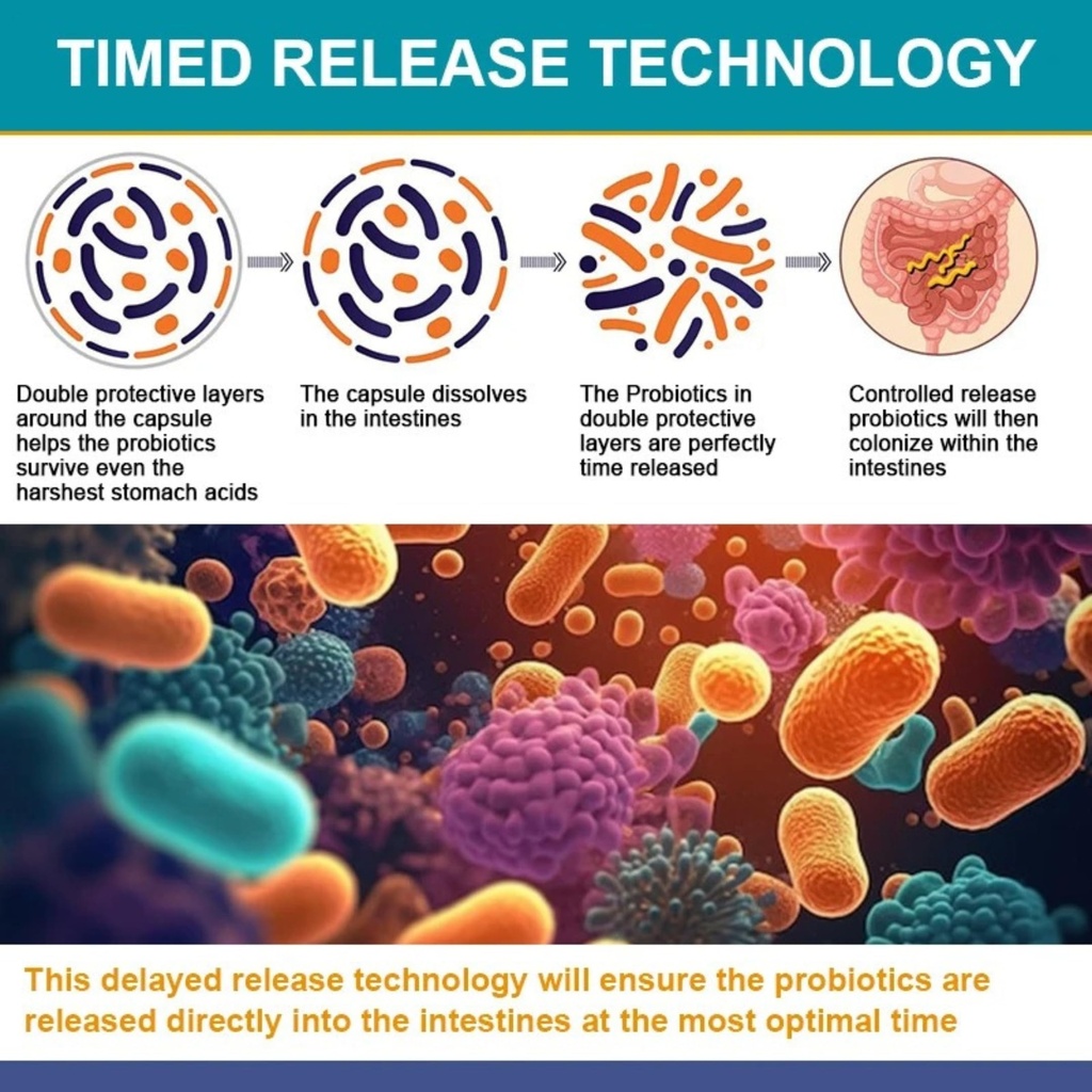 therasuva-probiotics-120-billion-cfu-36--5.jpg