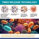 therasuva-probiotics-120-billion-cfu-36--5.jpg