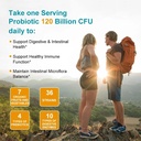 therasuva-probiotics-120-billion-cfu-36--6.jpg