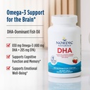 nordic-naturals-dha-strawberry-90-soft-g-3.jpg