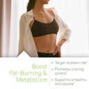 irwin-naturals-stored-fat-belly-burner-p-3.jpg
