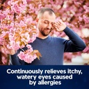 xyzal-24-hour-allergy-relief-medicine-or-3.jpg