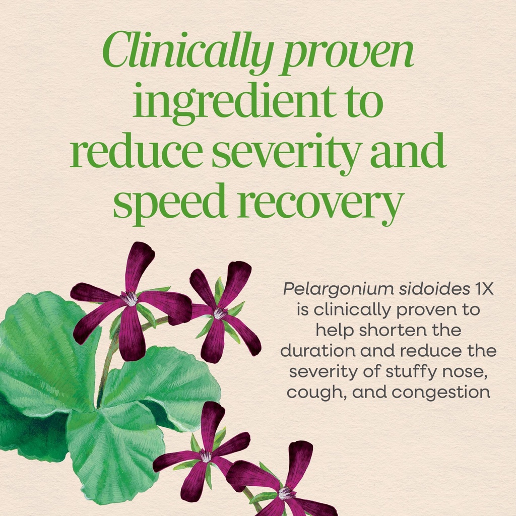 nature-s-way-umcka-allergy-sinus-relief--5.jpg