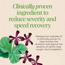 nature-s-way-umcka-allergy-sinus-relief--5.jpg