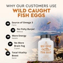 ancestral-supplements-wild-caught-fish-e-6.jpg