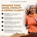 ancestral-supplements-wild-caught-fish-e-4.jpg