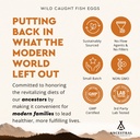 ancestral-supplements-wild-caught-fish-e-5.jpg