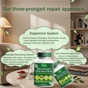 recovery-hfjcjn-6.jpg