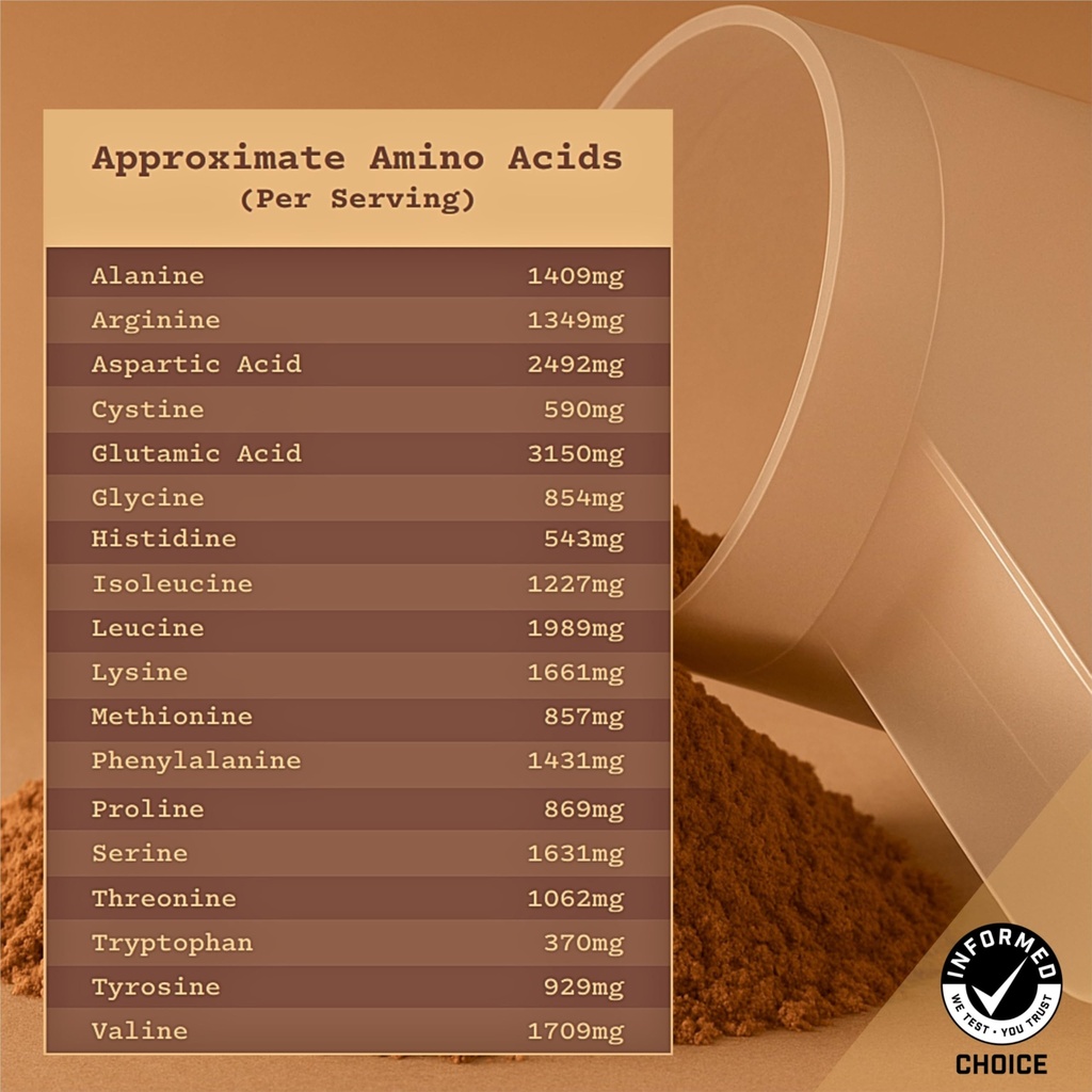 anea-egg-white-protein-chocolate-24g-pro-6.jpg