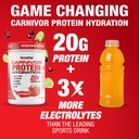 musclemeds-carnivor-protein-hydration-dr-3.jpg