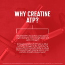 purus-labs-creatine-atp-peak-atp-creatin-5.jpg