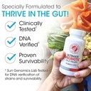 silver-fern-brand-gut-health-tune-up-kit-2.jpg