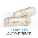 silver-fern-brand-gut-health-tune-up-kit-5.jpg