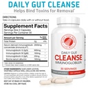 silver-fern-cleanse-daily-gut-1-bottle-1-3.jpg
