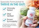 silver-fern-gut-rehab-kit-30-day-supply--4.jpg