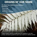 silver-fern-gi-relief-natural-herbal-sup-5.jpg
