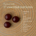 new-chapter-prenatal-multivitamin-gummie-3.jpg