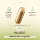 saw-palmetto-supplement-with-stinging-ne-4.jpg