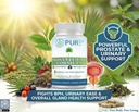 pure-prostate-care-formula-60-capsules-3-2.jpg