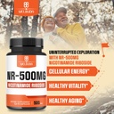 welbuda-nad-supplement-with-nicotinamide-3.jpg