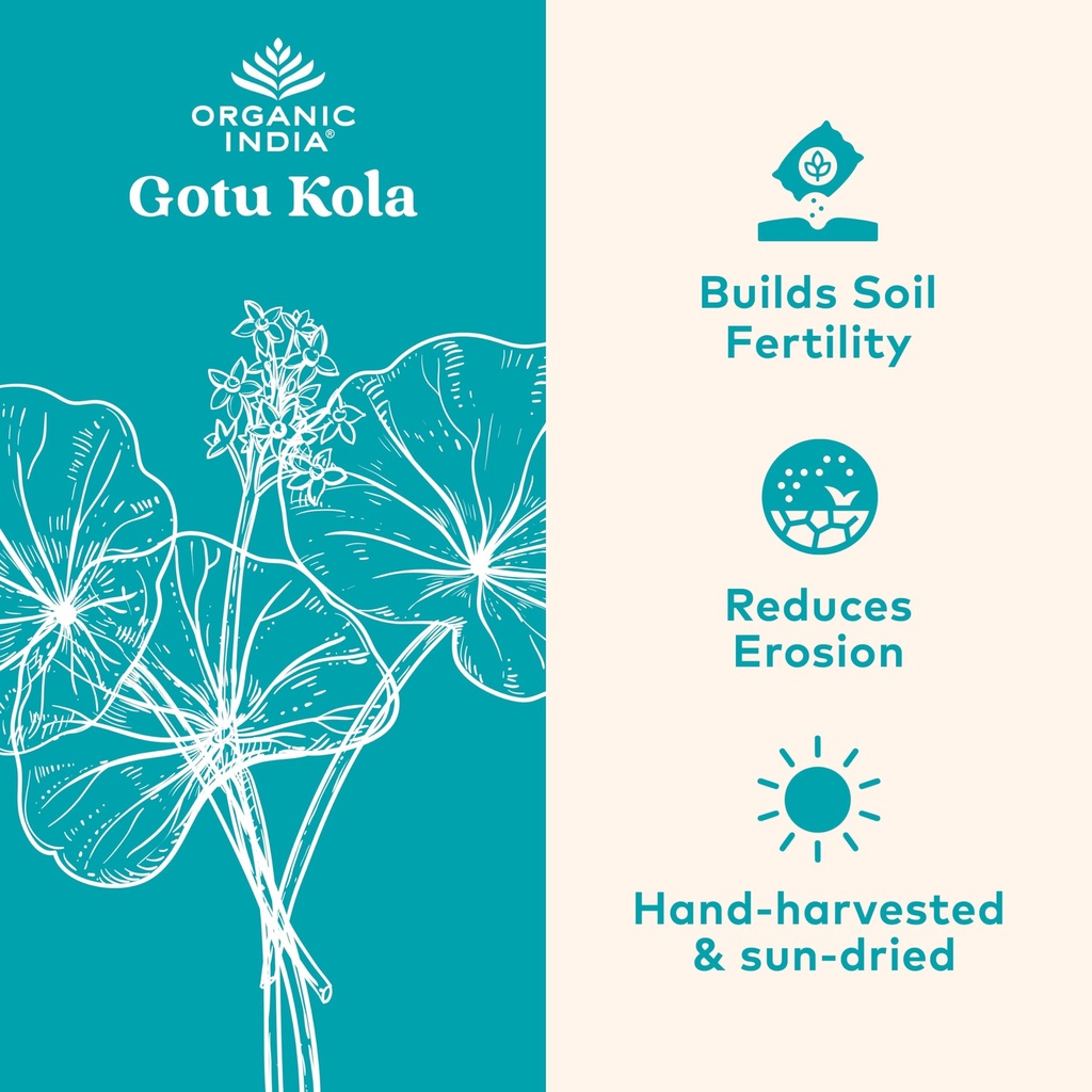 organic-india-gotu-kola-herbal-supplemen-2.jpg