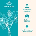 organic-india-gotu-kola-herbal-supplemen-2.jpg