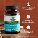 organic-india-gotu-kola-herbal-supplemen-3.jpg