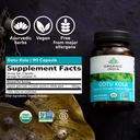 organic-india-gotu-kola-herbal-supplemen-6.jpg