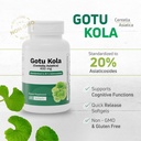 gotu-kola-400-mg-centella-asiatica-stand-3.jpg