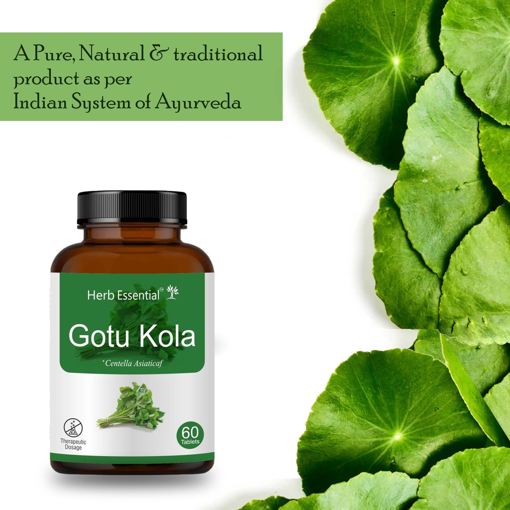 herb-essential-gotukola-indian-pennywort-4.jpg