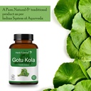 herb-essential-gotukola-indian-pennywort-4.jpg