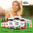 wild-organic-gotu-kola-capsules-600-mg-b-6.jpg