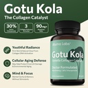 gotu-kola-capsules-premium-centella-asia-2.jpg