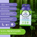 bye-bye-cellulitis-gotu-kola-2-pack-120--6.jpg