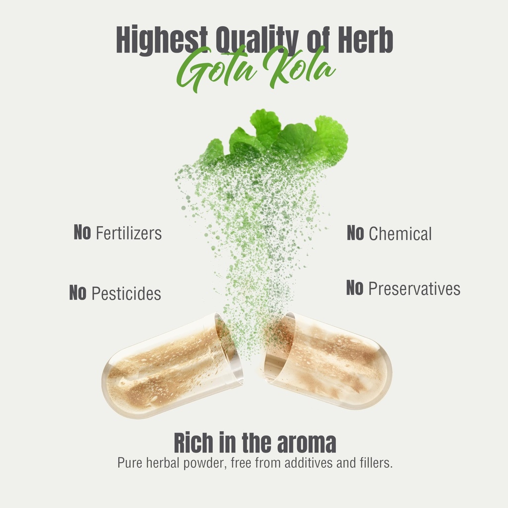 herbsforever-gotu-kola-centella-asiatica-6.jpg