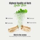 herbsforever-gotu-kola-centella-asiatica-6.jpg