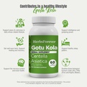 herbsforever-gotu-kola-centella-asiatica-5.jpg