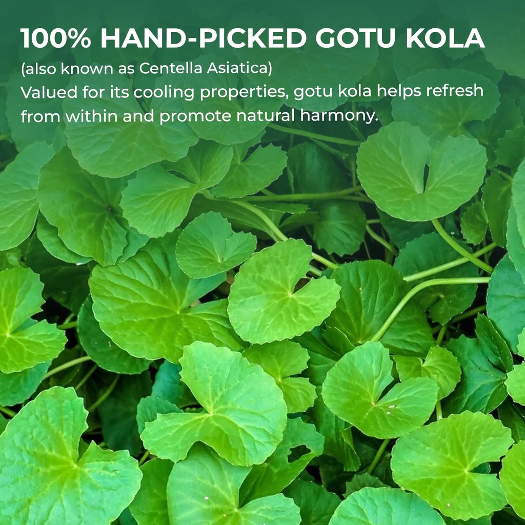 centella-asiatica-powder-gotu-kola-10-58-3.jpg