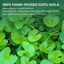 centella-asiatica-powder-gotu-kola-10-58-3.jpg