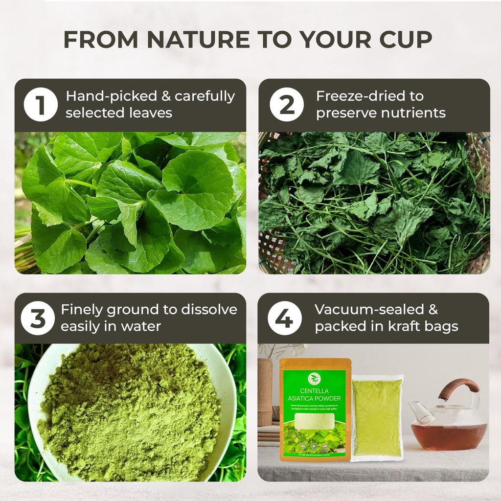 centella-asiatica-powder-gotu-kola-10-58-4.jpg